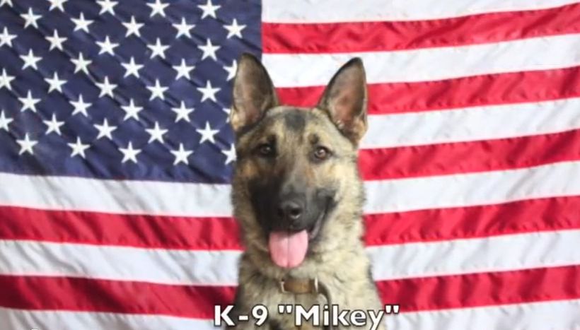 "Mikey" named in memory of MTA Police Officer Michael Aurisano.